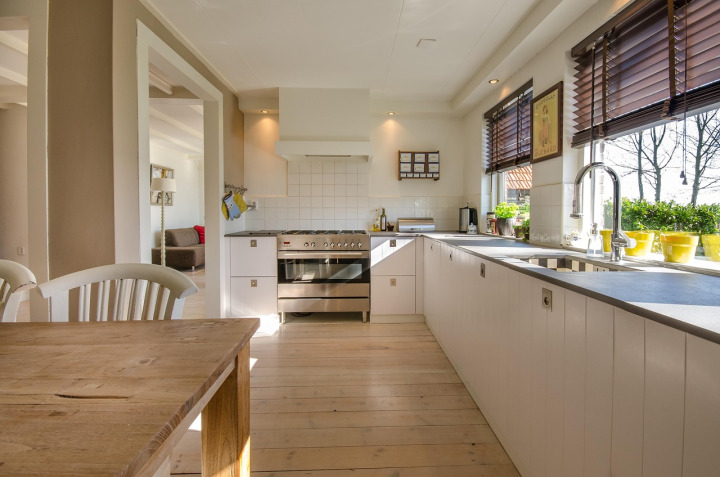 pest inspection kitchen sink